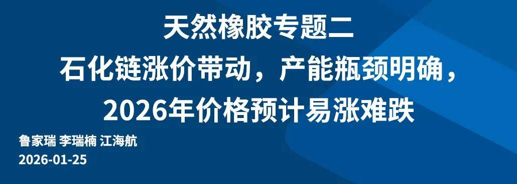 刊（126-21）国信研究 研究周(图12)